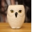 Creative 3D Owl Mugs Cartoon Animal Water Cups Tea Juice Milk For Home Office Restaurant School Funny Valentine's Day Gift